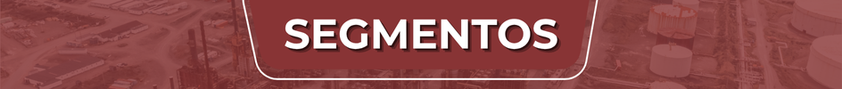 SEGMENTO.png
